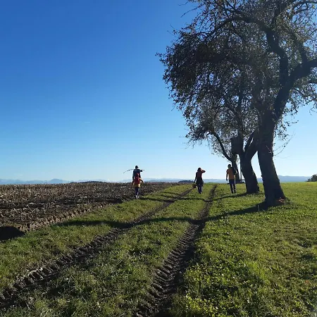 Grosse Altbauwohnung Auf Dem Land Kallham