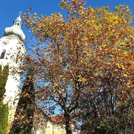Große Altbauwohnung Auf Dem Land Kallham