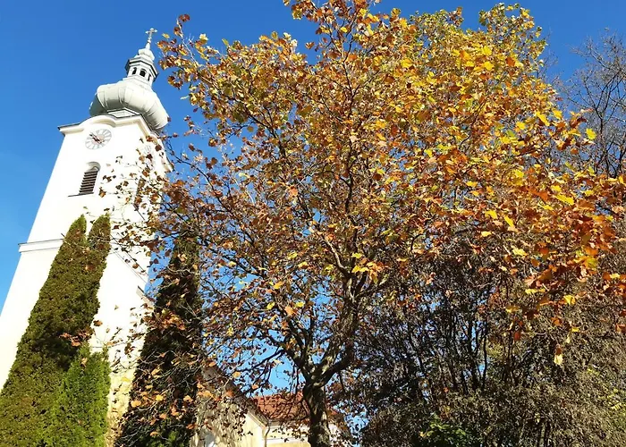 Grosse Altbauwohnung Auf Dem Land Kallham
