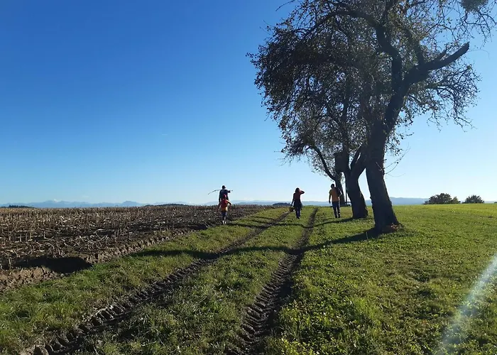 Grosse Altbauwohnung Auf Dem Land Kallham