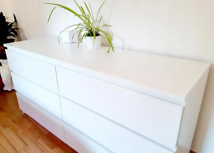 Grosse Altbauwohnung Auf Dem Land Daire